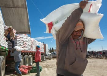 El Programa de Fertilizantes para el Bienestar impulsa la producción, mejora los ingresos y reduce los costos para las y los productores