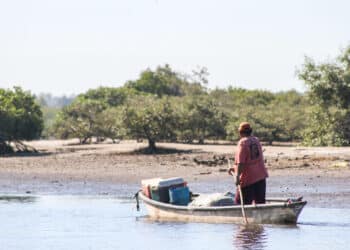Actualiza AGRICULTURA Carta Nacional Pesquera con 10 especies de importancia comercial