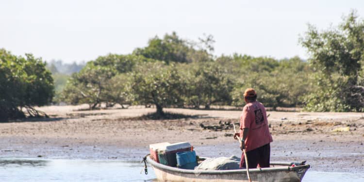 Actualiza AGRICULTURA Carta Nacional Pesquera con 10 especies de importancia comercial