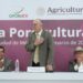 AGRICULTURA busca reducir importación de carne de cerdo y fortalecer su producción