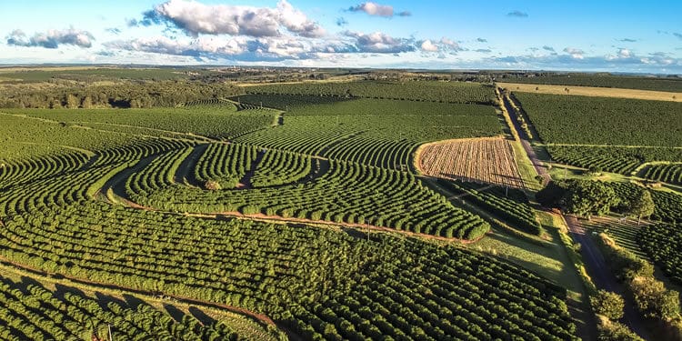 Agricultura regenerativa: el modelo que transforma el sistema productivo en Latinoamérica