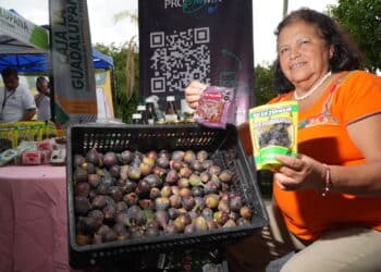 Presenta AGRICULTURA Plan Nacional de Producción y Comercialización del Maíz en Morelos para fortalecer la soberanía alimentaria