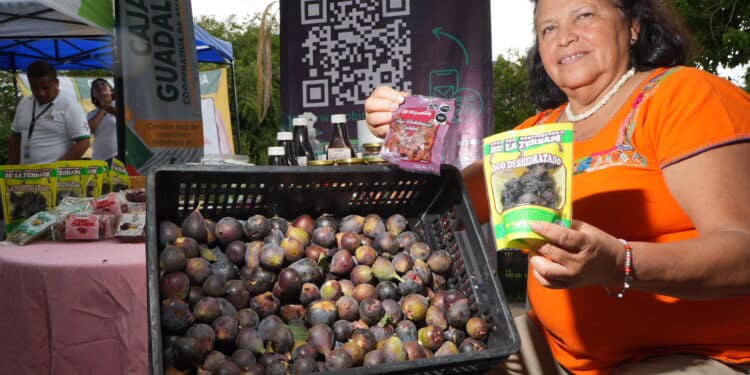 Presenta AGRICULTURA Plan Nacional de Producción y Comercialización del Maíz en Morelos para fortalecer la soberanía alimentaria