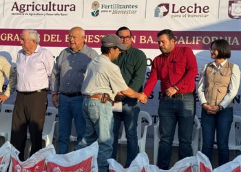 Impulsa AGRICULTURA 600 hectáreas de cultivos prioritarios de BCS con fertilizantes gratuitos