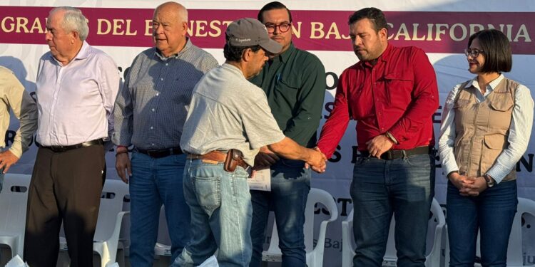 Impulsa AGRICULTURA 600 hectáreas de cultivos prioritarios de BCS con fertilizantes gratuitos