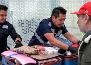 AGRICULTURA refuerza vigilancia sanitaria en vacaciones de verano para proteger a México de plagas y enfermedades del extranjero