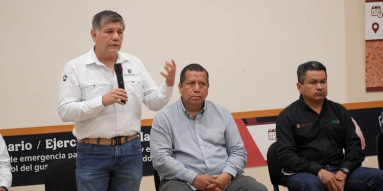 Capacita AGRICULTURA a 100 especialistas veracruzanos para detectar y erradicar el gusano barrenador del ganado