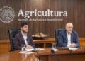 México refuerza acciones para proteger a las abejas y a la apicultura: AGRICULTURA