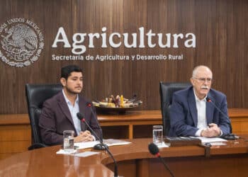 México refuerza acciones para proteger a las abejas y a la apicultura: AGRICULTURA