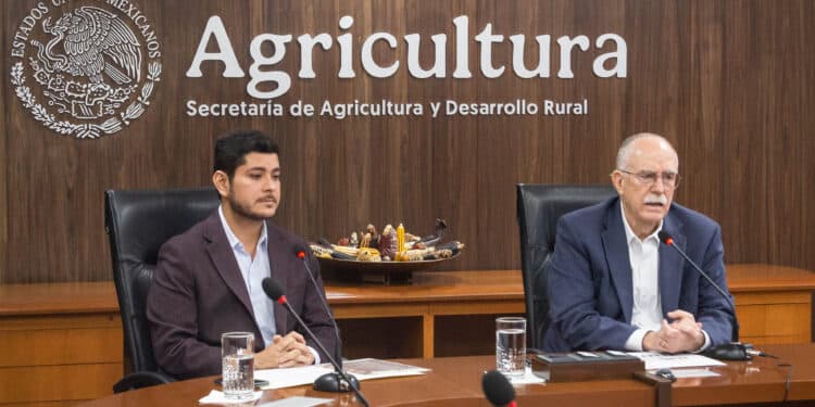 México refuerza acciones para proteger a las abejas y a la apicultura: AGRICULTURA