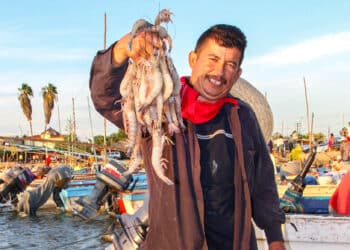 Amplia Conapesca veda de camarón en Campeche, Tabasco y Quintana Roo