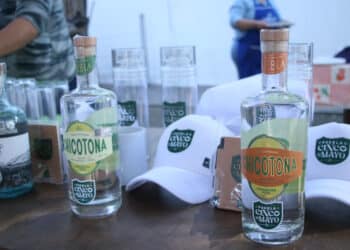 Mezcal poblano llega a Nueva York, con más de 6 mil botellas de espadín y papalometl: AGRICULTURA