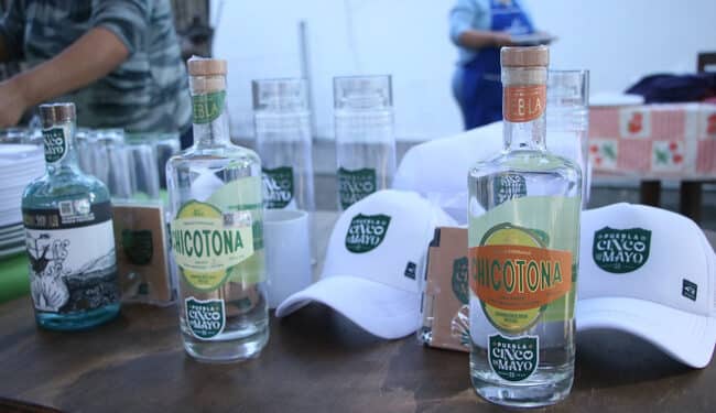 Mezcal poblano llega a Nueva York, con más de 6 mil botellas de espadín y papalometl: AGRICULTURA