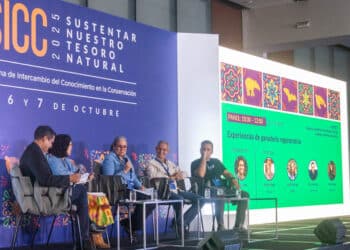 México celebra el lanzamiento de tres proyectos clave para la conservación de la biodiversidad rumbo al 2030