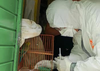 AGRICULTURA refuerza vigilancia sanitaria y medidas de bioseguridad para mantener a México libre de influenza aviar AH5N1