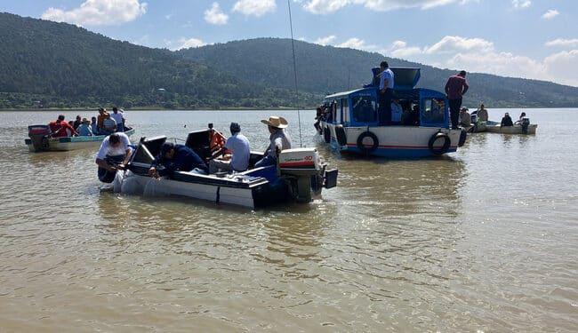 Gobiernos federal y de Michoacán impulsan recuperación de especies nativas en el Lago de Pátzcuaro