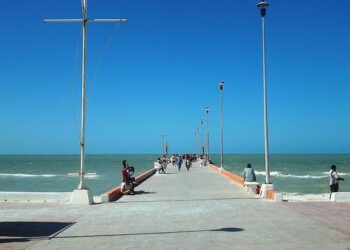 Conapesca decreta 4 Zonas de Refugio Pesquero en Yucatán, Colima y BCS