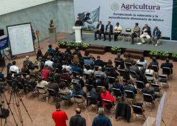 Presenta IMIPAS cortometraje “México Cambiando la Marea. Expedición Sargazo”, que plasma el trabajo científico con cooperación internacional