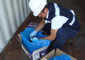 Blindaje sanitario: Senasica rechaza mil 65 cargamentos en 2025, para proteger a México de plagas y enfermedades de otros países