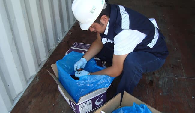 Blindaje sanitario: Senasica rechaza mil 65 cargamentos en 2025, para proteger a México de plagas y enfermedades de otros países