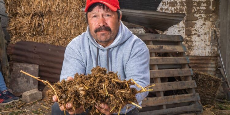 Beneficia AGRICULTURA a 2 millones de beneficiarios de Producción para el Bienestar en 2025