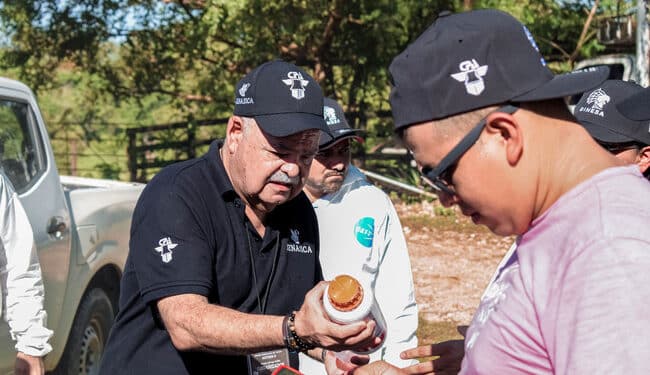 Atiende AGRICULTURA de manera inmediata un caso de gusano barrenador del ganado en el Estado de México