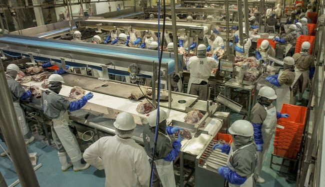 Respaldan industrias ganadera y porcícola medidas del Gobierno de México para proteger la producción nacional