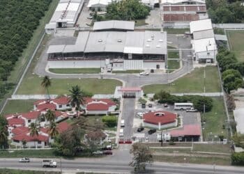 La planta productora de moscas estériles para combatir el gusano barrenador, ubicada en Chiapas, presenta avance del 50 por ciento