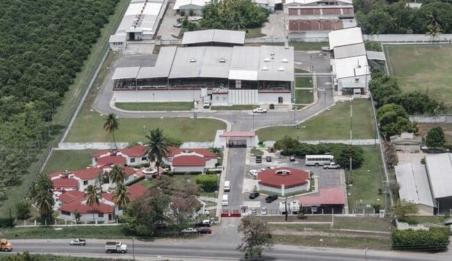 La planta productora de moscas estériles para combatir el gusano barrenador, ubicada en Chiapas, presenta avance del 50 por ciento