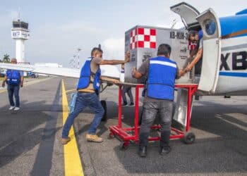 México refuerza acciones para contener el avance del Gusano Barrenador del Ganado