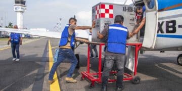 México refuerza acciones para contener el avance del Gusano Barrenador del Ganado