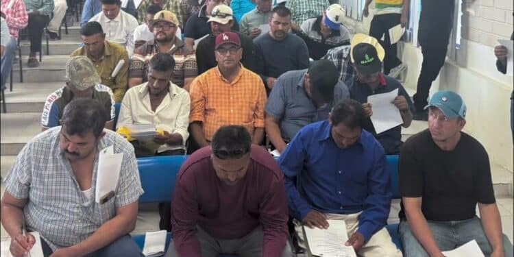 Convoca Conapesca al sector pesquero y acuícola a capacitaciones gratuitas