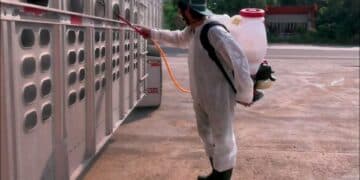 Disminuyen 86% de casos de gusano barrenador del ganado en Tamaulipas: AGRICULTURA