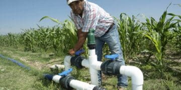 AGRICULTURA, CFE y Conagua establecen acuerdo para integrar un Padrón General Actualizado de Usuarios Agrícolas