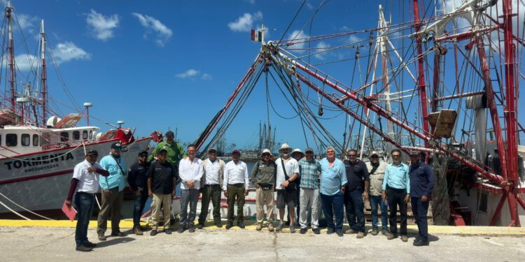 México logra calificación de 93% en comparabilidad para exportación de camarón mexicano a Estados Unidos