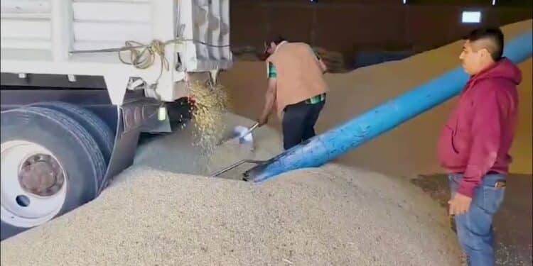 Reduce Conapesca tiempo y requisitos para 12 permisos y concesiones de pesca y acuacultura