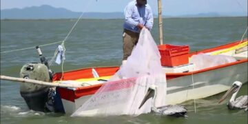 Convoca Conapesca a participar en el Premio a la Pesca y Acuacultura Sustentables 2026