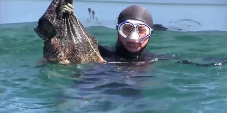 Anuncia Conapesca seis periodos de veda y cinco de aprovechamiento en marzo