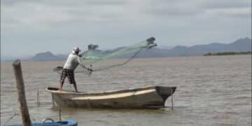 Establece Conapesca veda de camarón en el Alto Golfo de California
