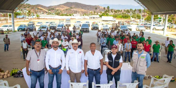 Refuerzan acciones de prevención y capacitación contra el gusano barrenador en Coyuca de Benítez