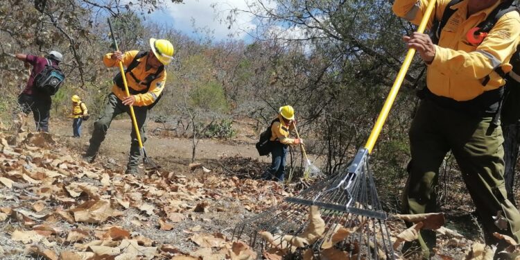 Refuerzan acciones de prevención de incendios con rehabilitación de guardarrayas en Chilpancingo
