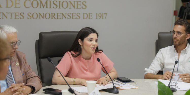 El Congreso de Sonora dialoga sobre iniciativa en materia de enfermedad celíaca