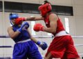 Tlaxcala suma cinco campeones regionales de boxeo y avanza a la Olimpiada Nacional