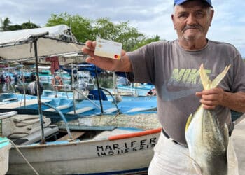 Conapesca: del 9 al 22 de marzo renovación de tarjetas para el programa Bienpesca