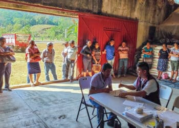 Inicia AGRICULTURA entrega gratuita de fertilizantes en Baja California Sur, Coahuila, Guerrero, Michoacán y Oaxaca