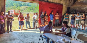 Inicia AGRICULTURA entrega gratuita de fertilizantes en Baja California Sur, Coahuila, Guerrero, Michoacán y Oaxaca