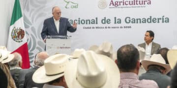 Ganadería mexicana mantiene crecimiento sostenido; AGRICULTURA llama a modernizar el sector y fortalecer la sustentabilidad