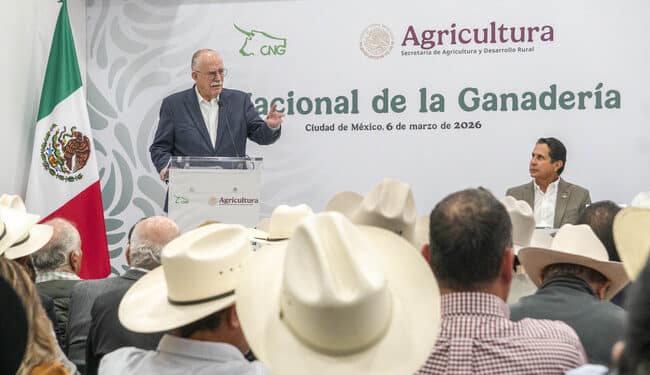 Ganadería mexicana mantiene crecimiento sostenido; AGRICULTURA llama a modernizar el sector y fortalecer la sustentabilidad