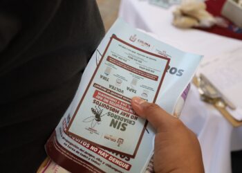 Estado de Colima continúa en zona de seguridad por dengue, informa Secretaría de Salud