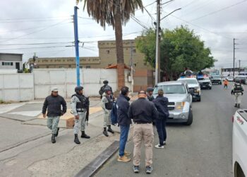 Coordina Conapesca operativos para combatir el contrabando de camarón en México